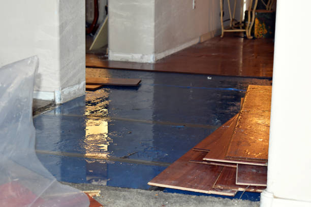 Professional Water Damage Repair technician working in Andreas, PA